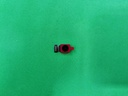 Repuesto FLEX CAMARA FRONTAL XIAOMI REDMI NOTE 12 4G
