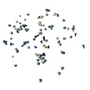 Repuesto JUEGO DE TORNILLOS IPHONE 12