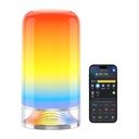 Govee Lámpara Escritorio Inteligente Táctil WIFI H60221D1