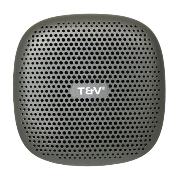 Parlante Thonet & Vander Duett Tws Bluetooth / 3.5mm HK096-03606 - Gris