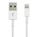 Cable Argom Lightning para iPhone 10" ARG-CB-0040