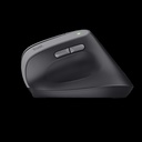 Trust Mouse Ergononico Color Negro Inalambrico y Recargable - 25145