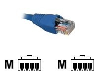[AB360NXT57] Nexxt Cable de Interconexión Cat. 5e UTP Moldeado Azul 15.2m