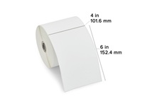[100019001] Zebra Papel Térmico TT Z-Per 2000T 4x6in 460/rollo