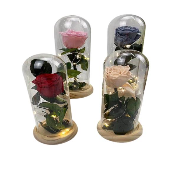 [PD-FRO0031] ROSA REAL PRESERVADA EN DOMO MODELO 1192-2 ROSADO